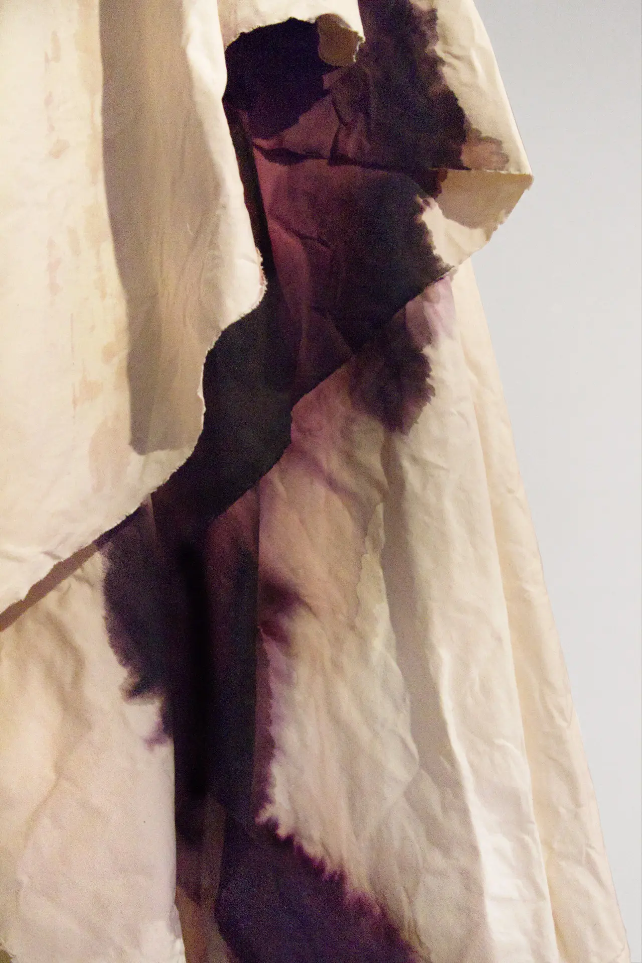 Lymph_15