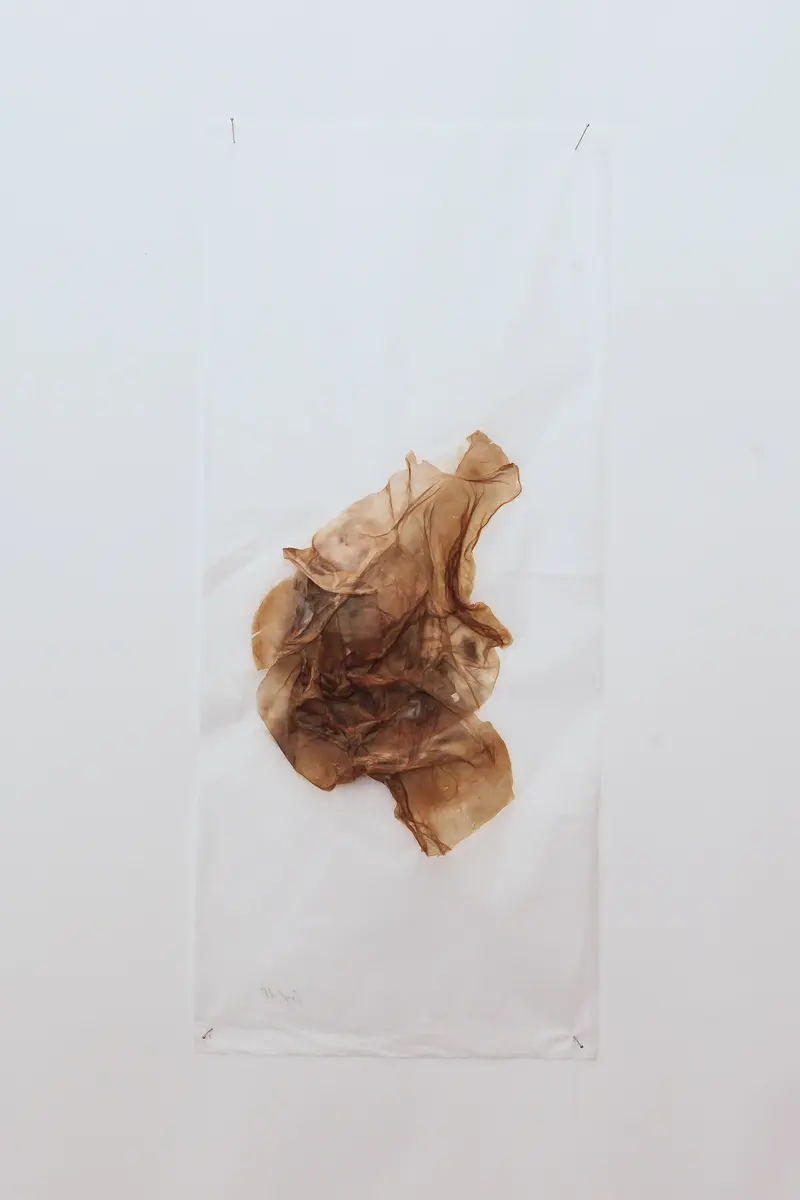 Pevere_Skin-studies_01_web