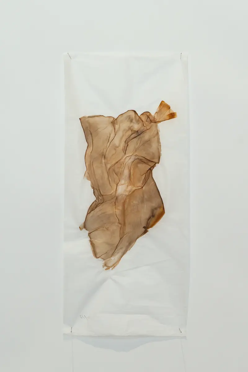 Pevere_Skin-studies_03_web