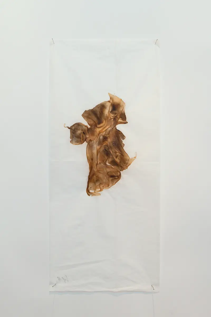 Pevere_Skin-studies_04_web
