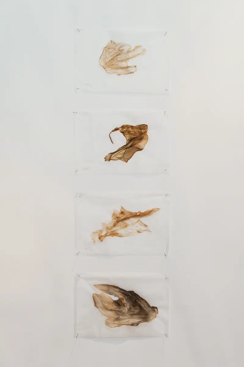 Pevere_Skin-studies_08_web