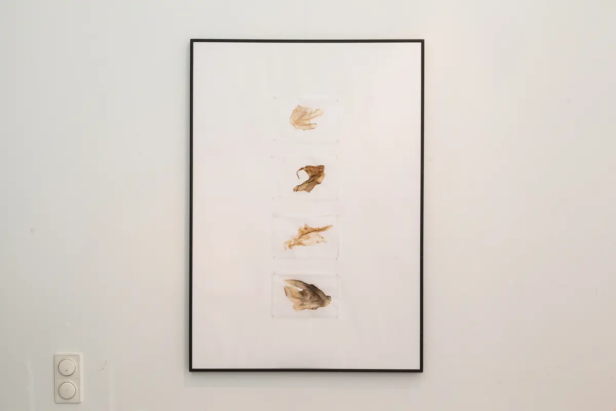 Pevere_Skin-studies_11_web