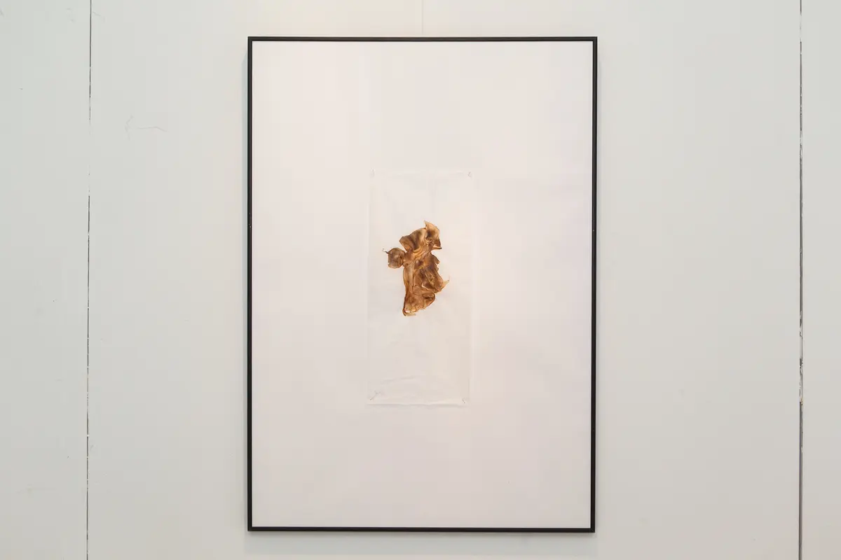 Pevere_Skin-studies_16_web