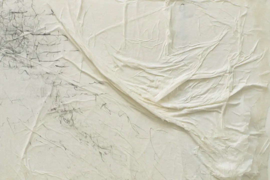 Works-on-paper_2015_det_07