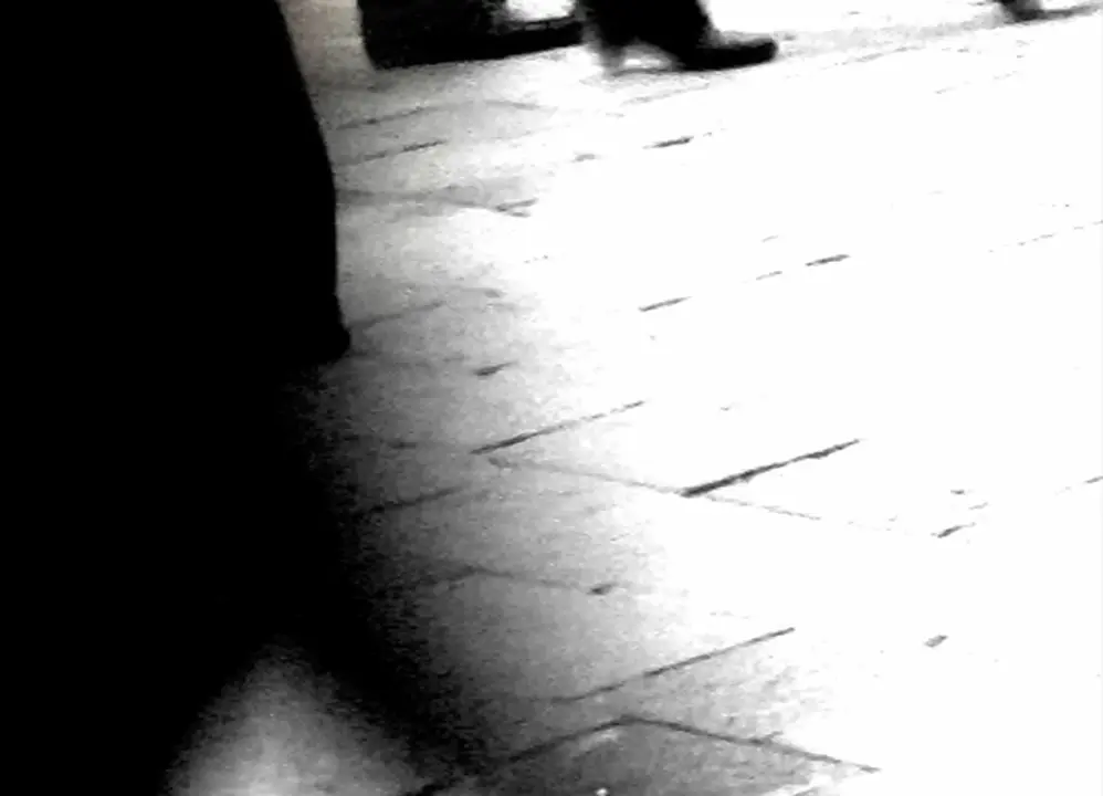come_sullacqua3
