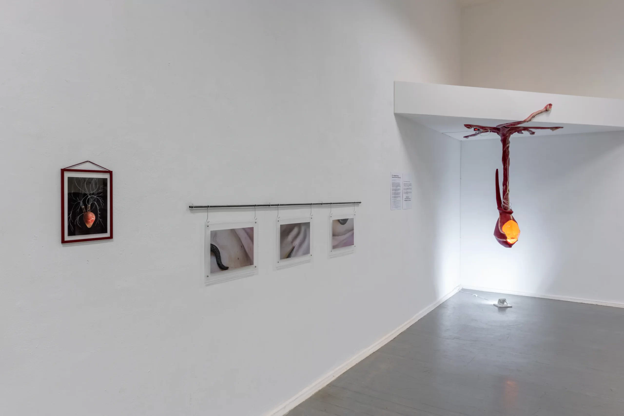 Wombs-exhibition-view_pic-by-Ivonne-Thein_01